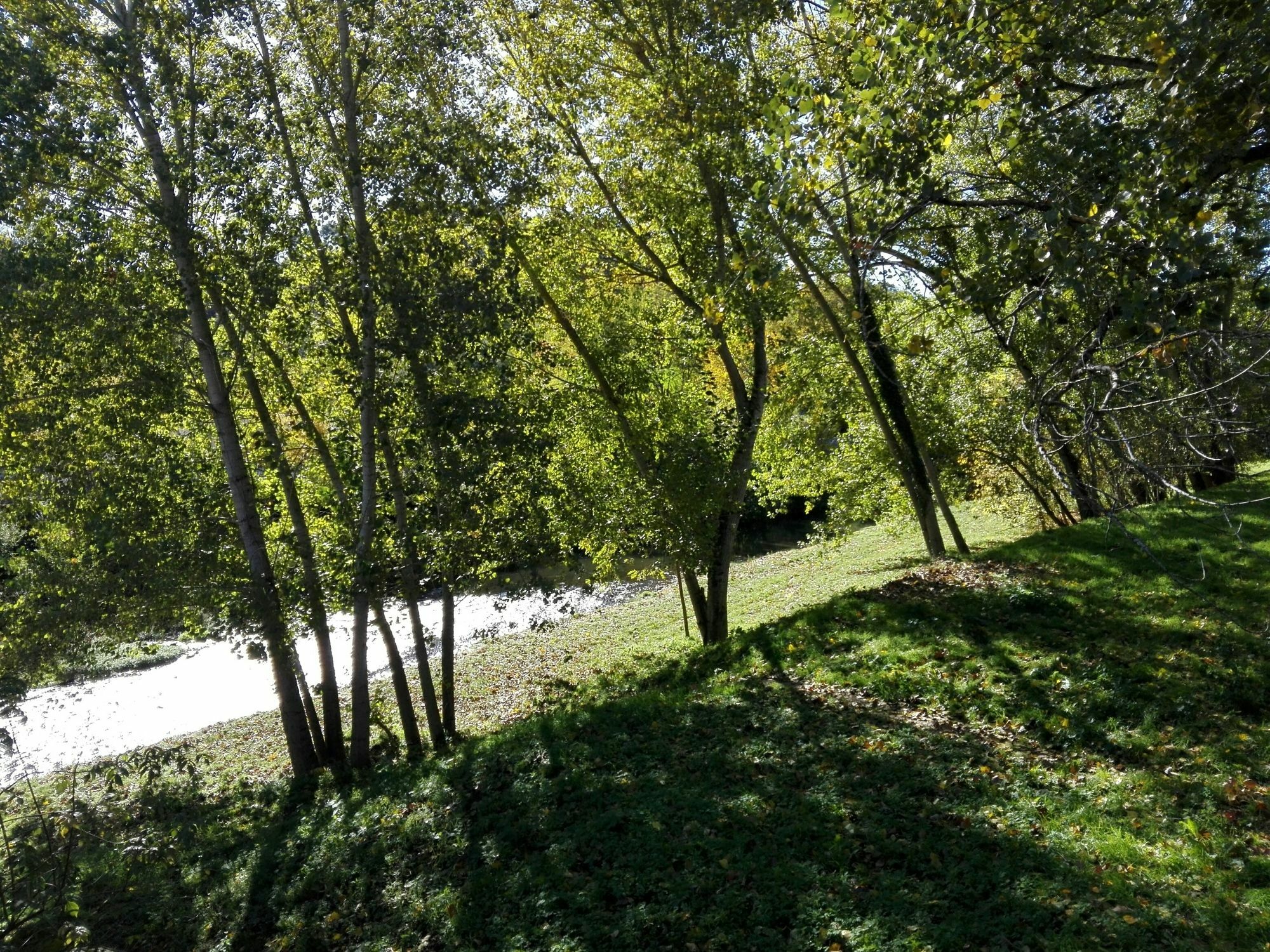 Relais Dante E Beatrice Bed & Breakfast Firenze Bagian luar foto